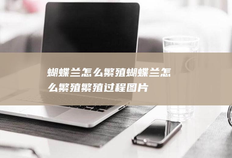 蝴蝶兰怎么繁殖(蝴蝶兰怎么繁殖繁殖过程图片)