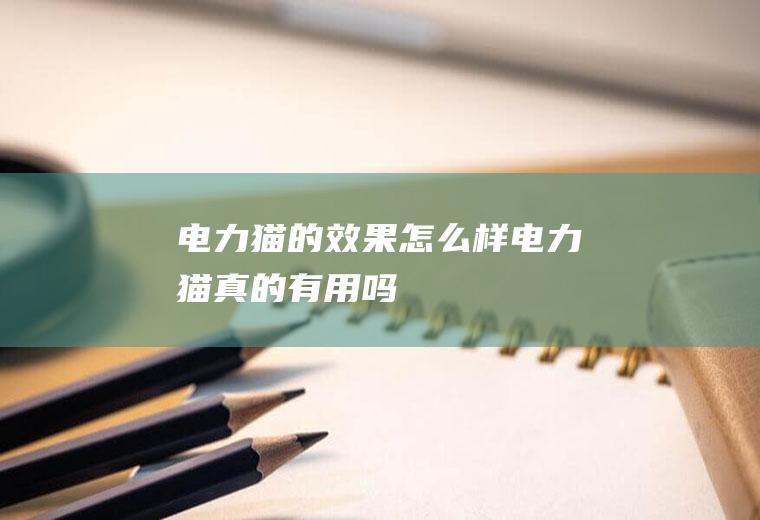 电力猫的效果怎么样(电力猫真的有用吗)