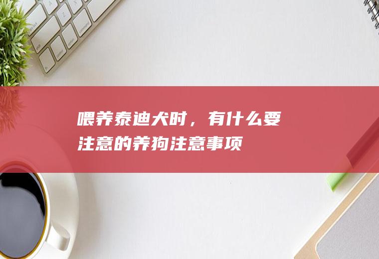 喂养泰迪犬时，有什么要注意的(养狗注意事项)