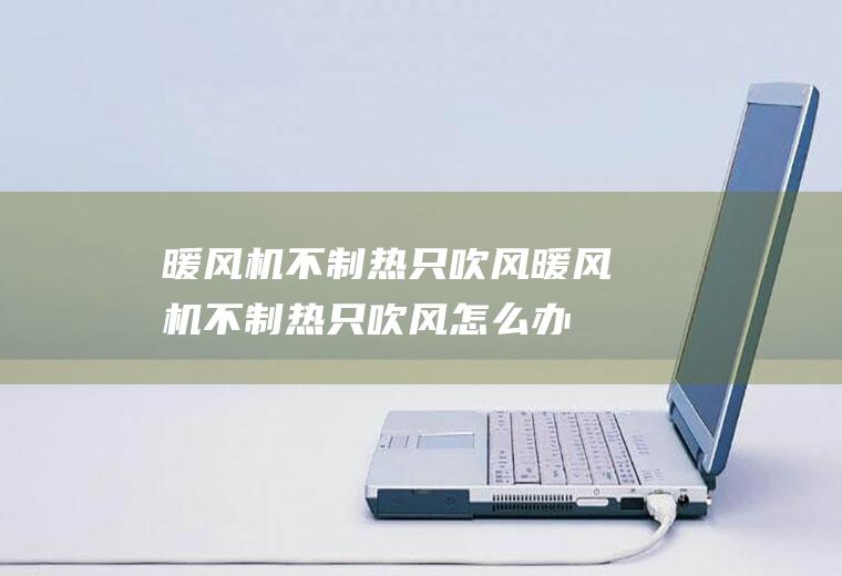 暖风机不制热只吹风,暖风机不制热只吹风怎么办