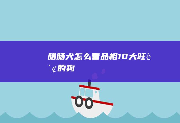 腊肠犬怎么看品相(10大旺财的狗)