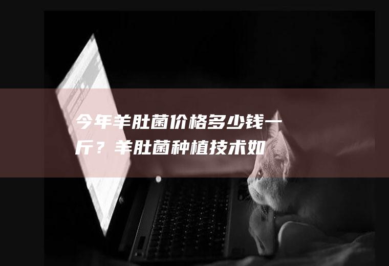 今年羊肚菌价格多少钱一斤？羊肚菌种植技术,如何辨别真伪