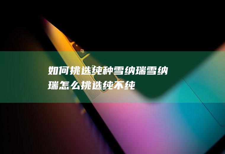 如何挑选纯种雪纳瑞(雪纳瑞怎么挑选纯不纯)