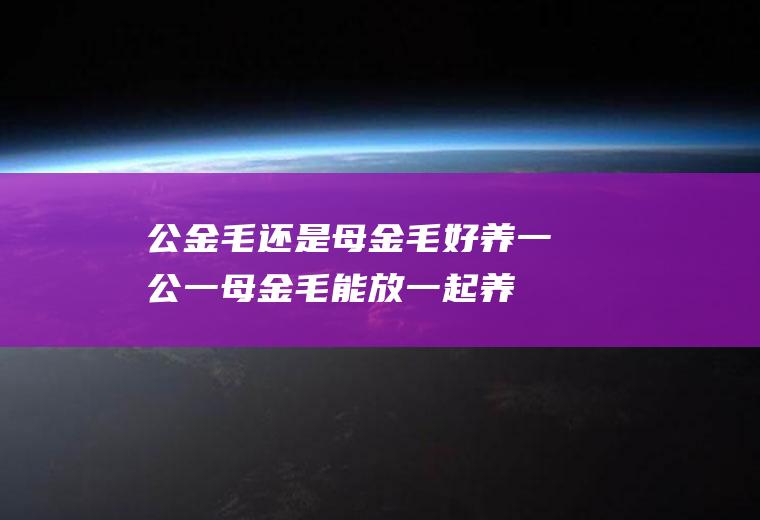 公金毛还是母金毛好养(一公一母金毛能放一起养吗)