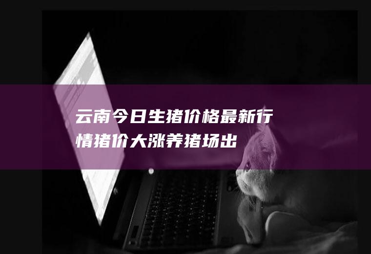云南今日生猪价格最新行情：猪价大涨!养猪场出栏量减少,屠宰企业收购困难