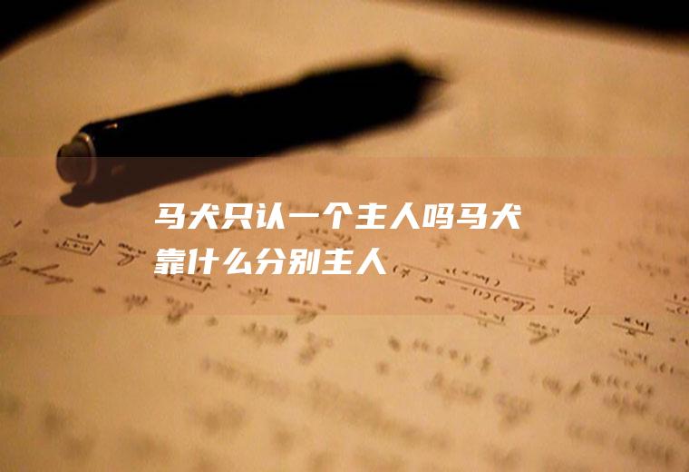 马犬只认一个主人吗(马犬靠什么分别主人)