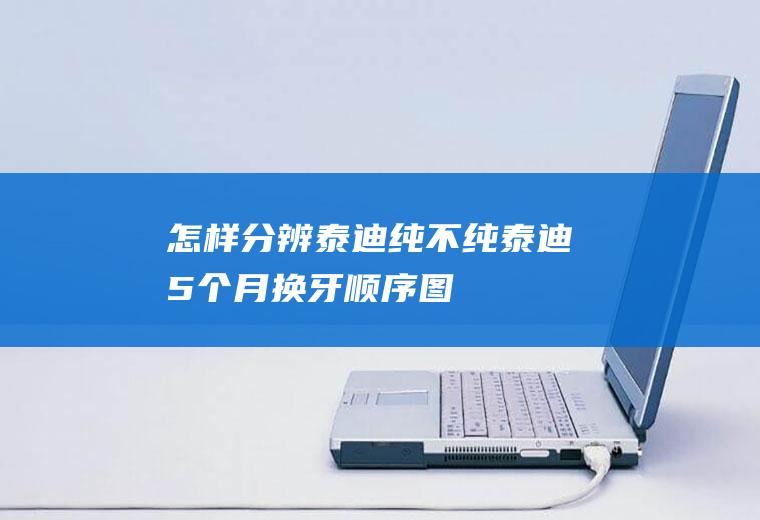 怎样分辨泰迪纯不纯(泰迪5个月换牙顺序图)