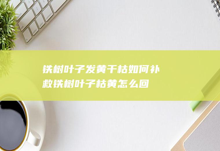 铁树叶子发黄干枯如何补救(铁树叶子枯黄怎么回事)