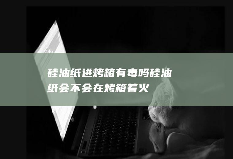 硅油纸进烤箱有毒吗,硅油纸会不会在烤箱着火