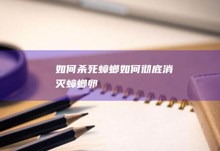 如何杀死蟑螂,如何彻底消灭蟑螂卵