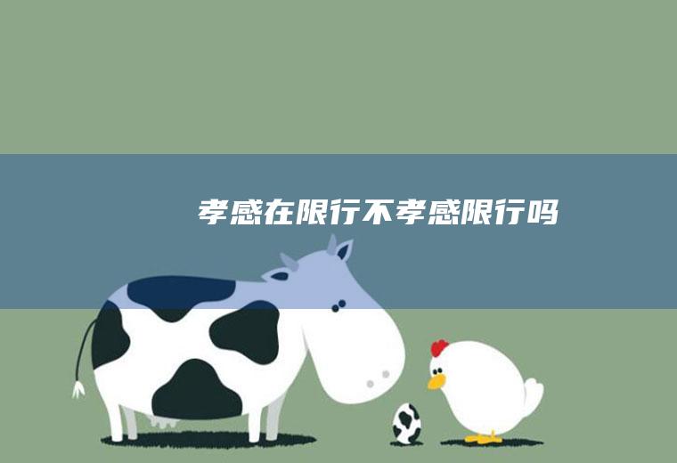 孝感在限行不孝感限行吗