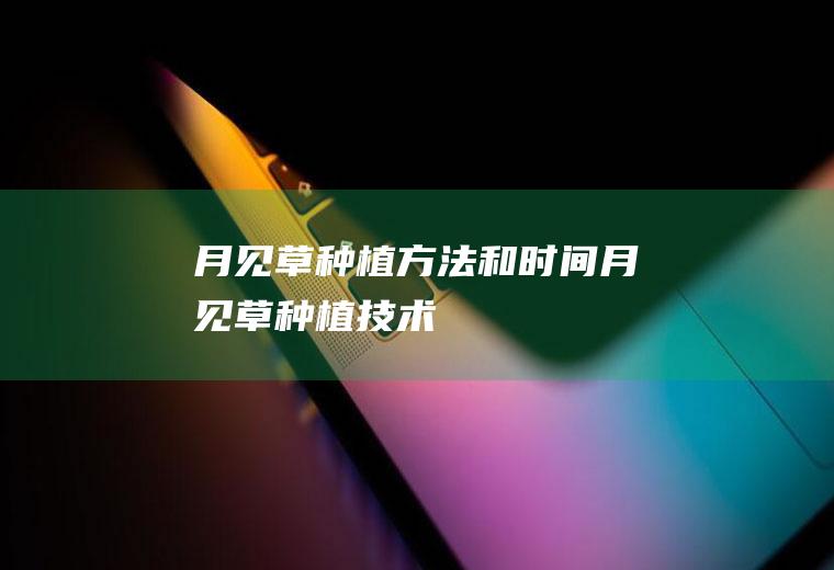 月见草种植方法和时间(月见草种植技术)