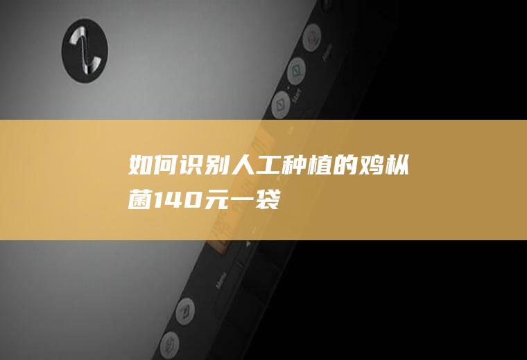 如何识别人工种植的鸡枞菌（140元一袋）