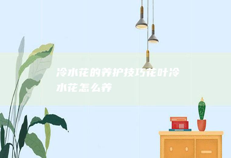 冷水花的养护技巧花叶冷水花怎么养