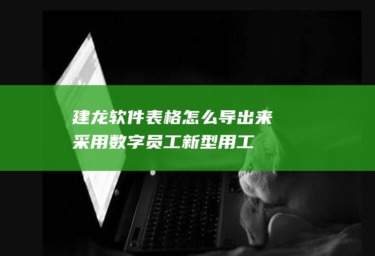 建龙软件表格怎么导出来(采用数字员工新型用工模式)