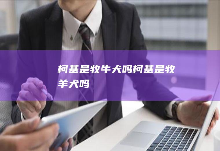 柯基是牧牛犬吗(柯基是牧羊犬吗)