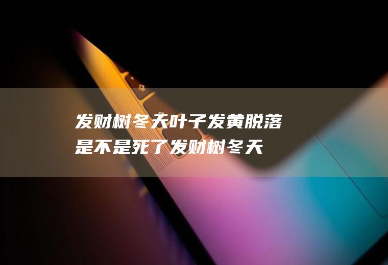 发财树冬天叶子发黄脱落是不是死了(发财树冬天叶子黄了是怎么回事)