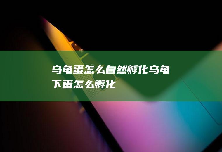 乌龟蛋怎么自然孵化(乌龟下蛋怎么孵化)