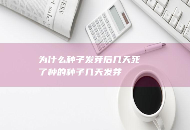 为什么种子发芽后几天死了(种的种子几天发芽)