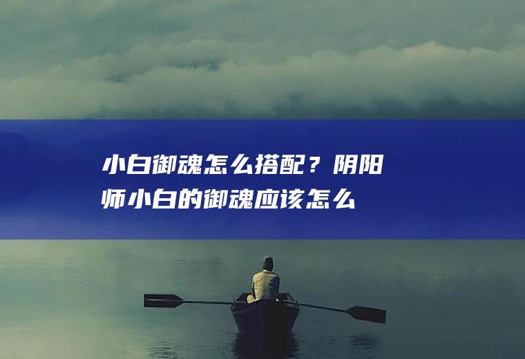 小白御魂怎么搭配？阴阳师：小白的御魂应该怎么配呢？