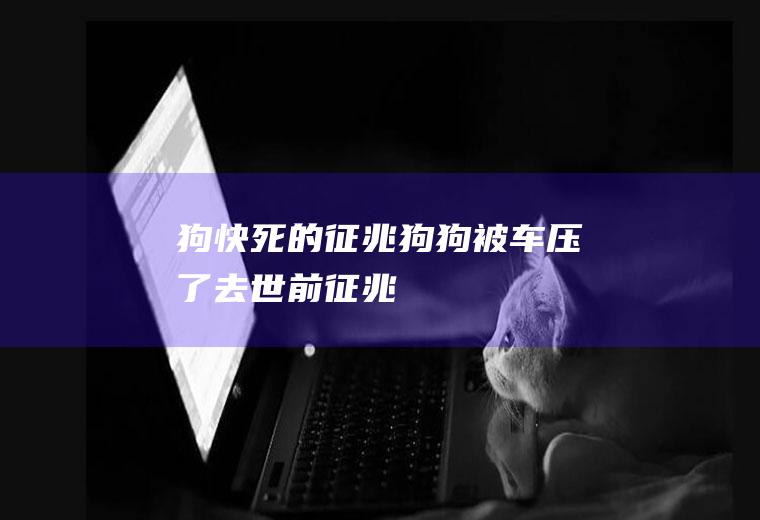 狗快死的征兆(狗狗被车压了去世前征兆)