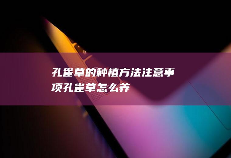 孔雀草的种植方法注意事项(孔雀草怎么养)