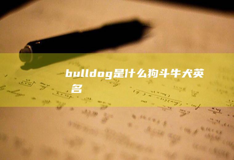 bulldog是什么狗(斗牛犬英文名)