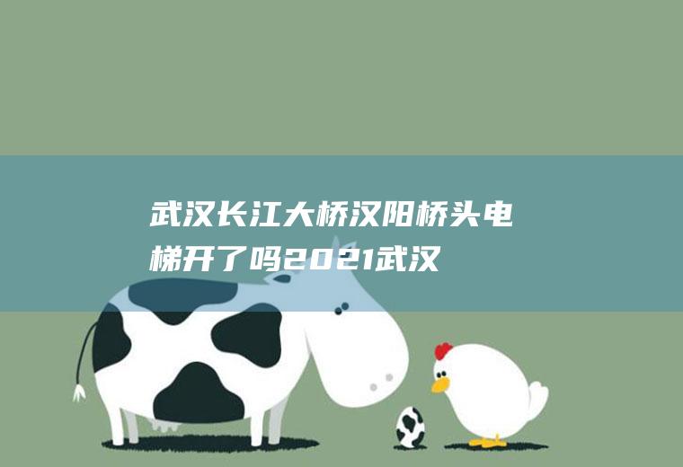 武汉长江大桥汉阳桥头电梯开了吗2021(武汉长江大桥电梯在哪)