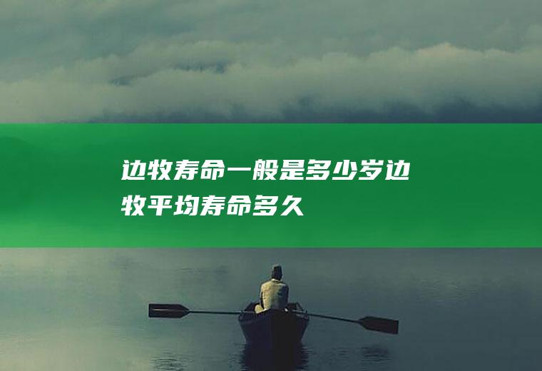 边牧寿命一般是多少岁(边牧平均寿命多久)