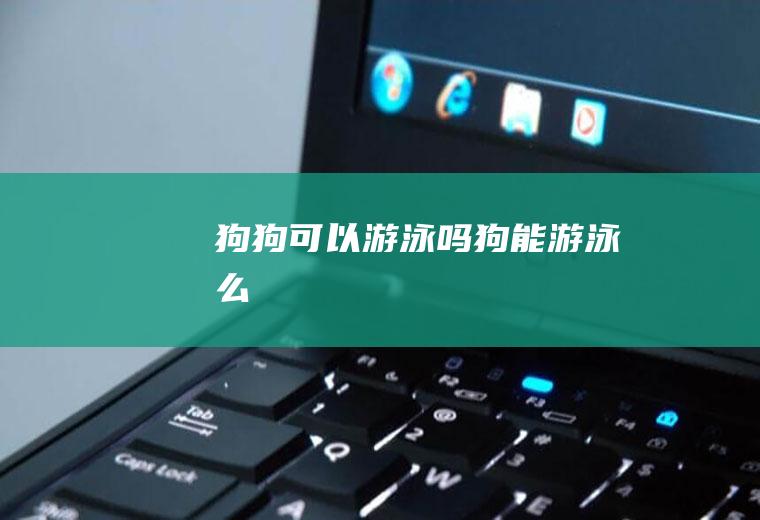 狗狗可以游泳吗(狗能游泳么)