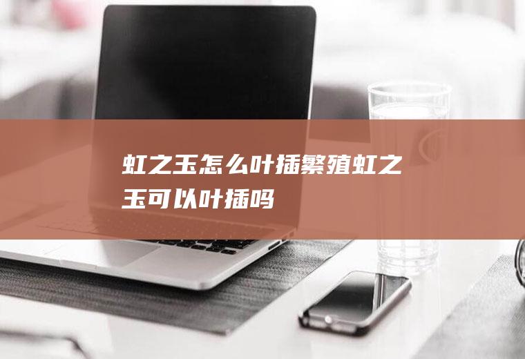 虹之玉怎么叶插繁殖(虹之玉可以叶插吗)