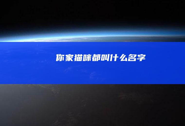 你家猫咪都叫什么名字