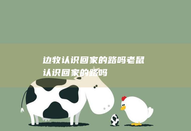 边牧认识回家的路吗(老鼠认识回家的路吗)