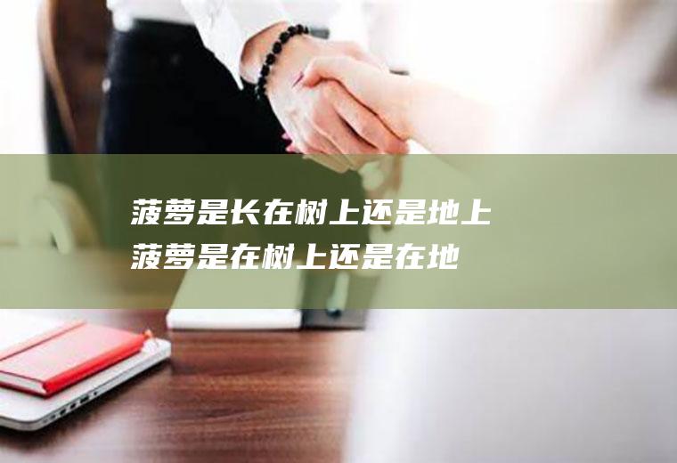菠萝是长在树上还是地上,菠萝是在树上还是在地上长的