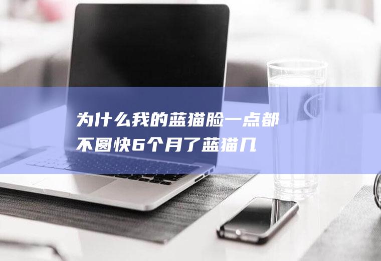 为什么我的蓝猫脸一点都不圆快6个月了(蓝猫几个月脸变圆)