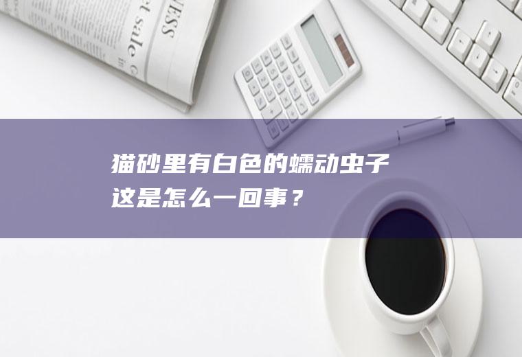 猫砂里有白色的蠕动虫子,这是怎么一回事？