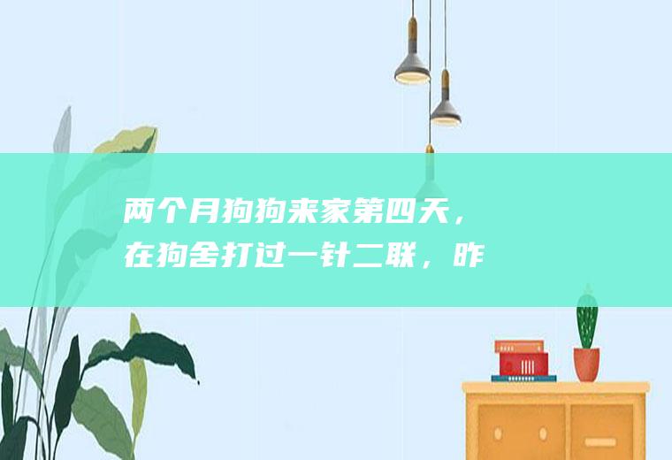 两个月狗狗来家第四天，在狗舍打过一针二联，昨天晚上给它做的驱虫，之后拉稀里面有虫子该怎么办(狗舍)