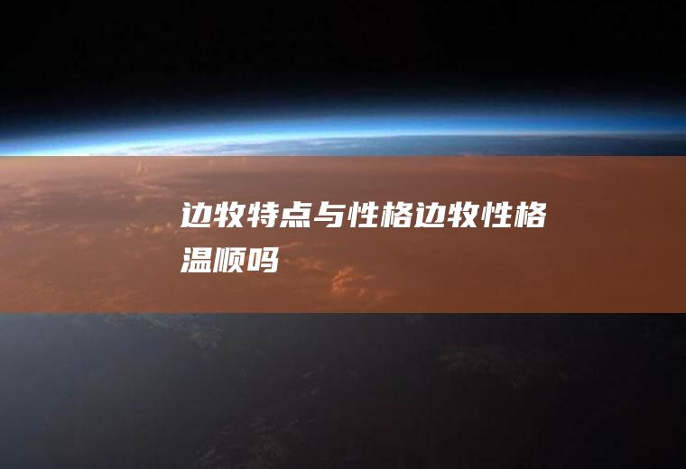 边牧特点与性格(边牧性格温顺吗)