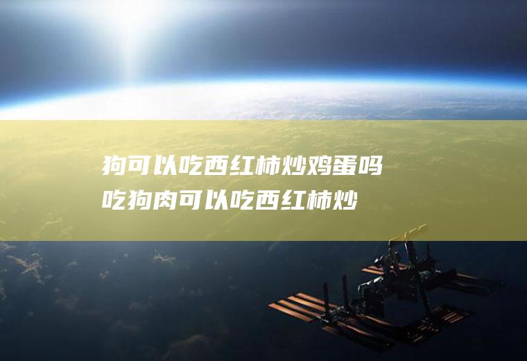 狗可以吃西红柿炒鸡蛋吗(吃狗肉可以吃西红柿炒蛋吗)