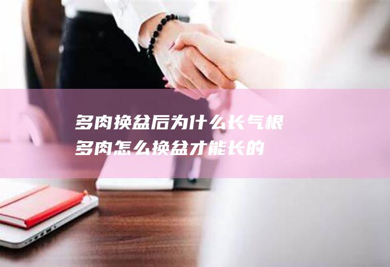 多肉换盆后为什么长气根(多肉怎么换盆才能长的更旺)
