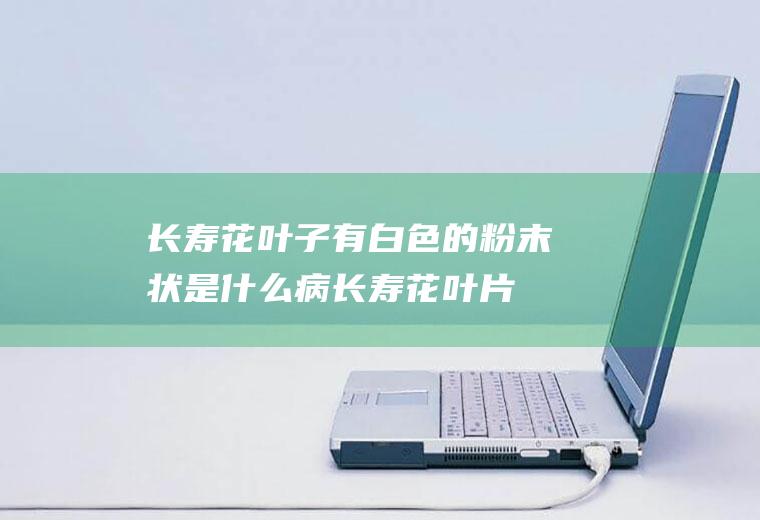 长寿花叶子有白色的粉末状是什么病(长寿花叶片有白色的粉)