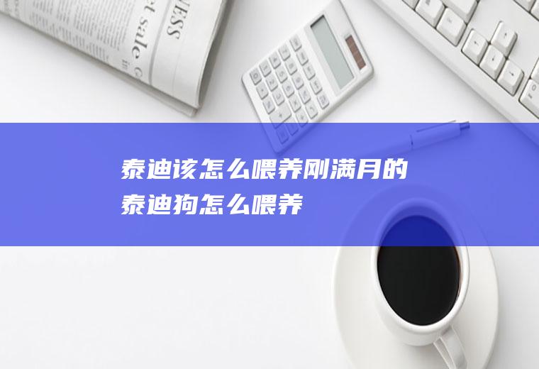 泰迪该怎么喂养(刚满月的泰迪狗怎么喂养)