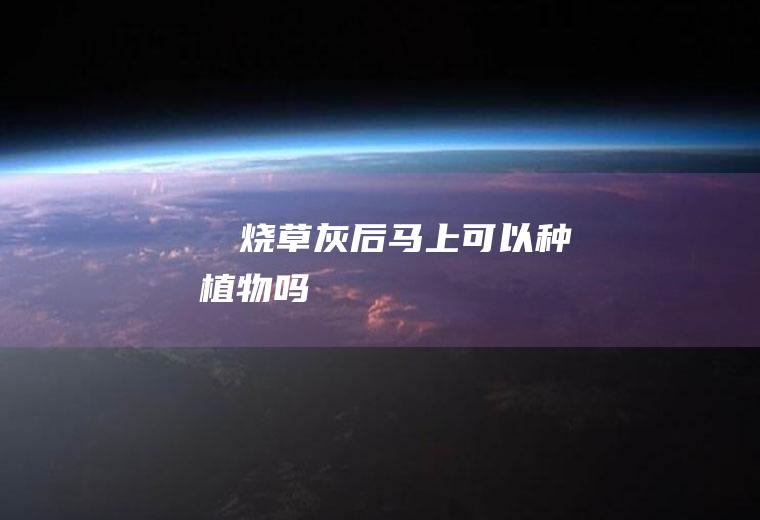 ​​烧草灰后马上可以种植物吗