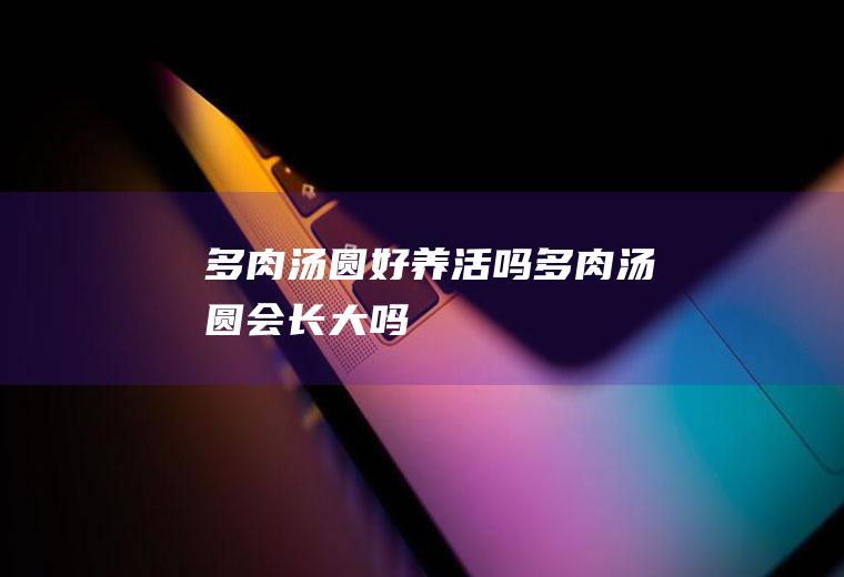 多肉汤圆好养活吗(多肉汤圆会长大吗)