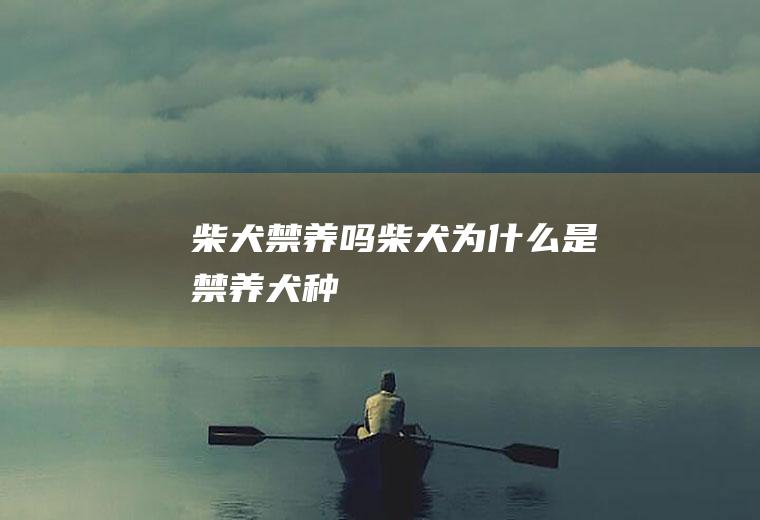 柴犬禁养吗(柴犬为什么是禁养犬种)