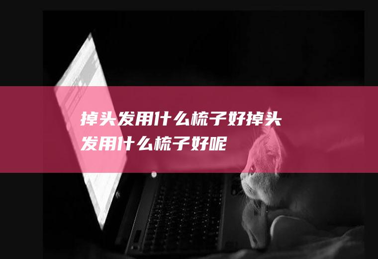 掉头发用什么梳子好(掉头发用什么梳子好呢)