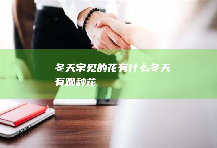 冬天常见的花有什么(冬天有哪种花)