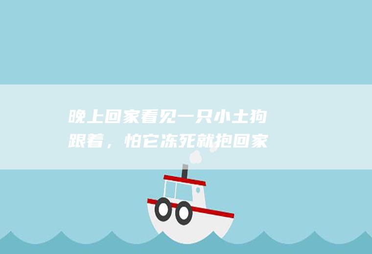 晚上回家看见一只小土狗跟着，怕它冻死就抱回家了，接下来要怎么办