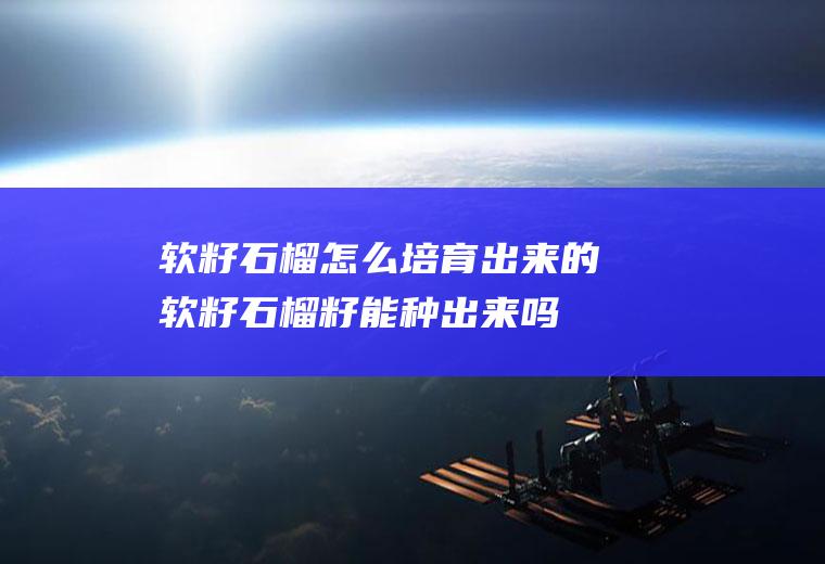 软籽石榴怎么培育出来的(软籽石榴籽能种出来吗)