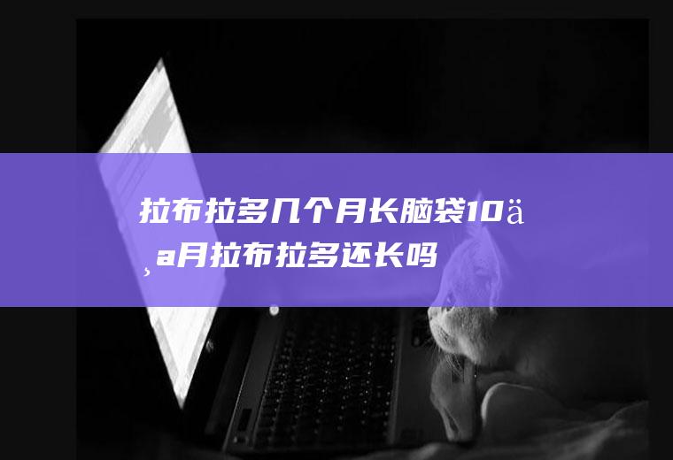 拉布拉多几个月长脑袋(10个月拉布拉多还长吗)